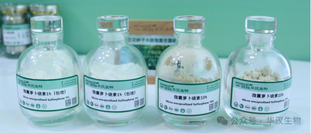 展会邀请 | 华汉生物邀您共赴2025年美国国际天然、健康和创新原料展览会(SupplySide Global 2025)