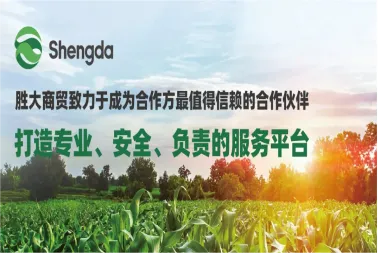 展会邀请 | 青岛市胜大商贸与您相约SupplySide Global 2025,共探食品级原料的创新趋势与无限潜力...