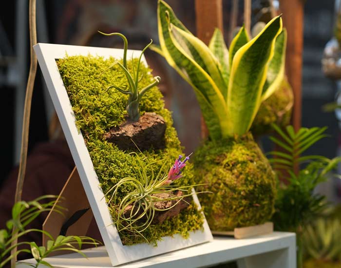 2025费拉拉休闲和度假展览会:Bologna举办Liberamente展会三天吸引逾两万参观者