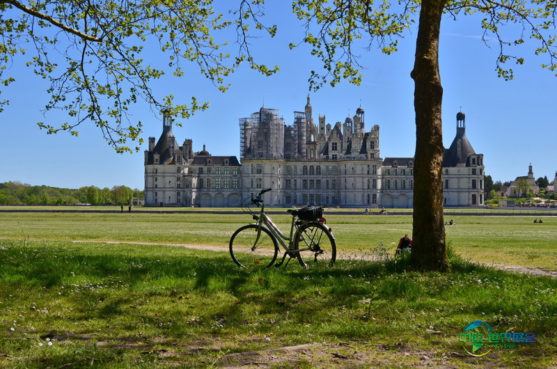 香波堡背景下停靠树旁的自行车