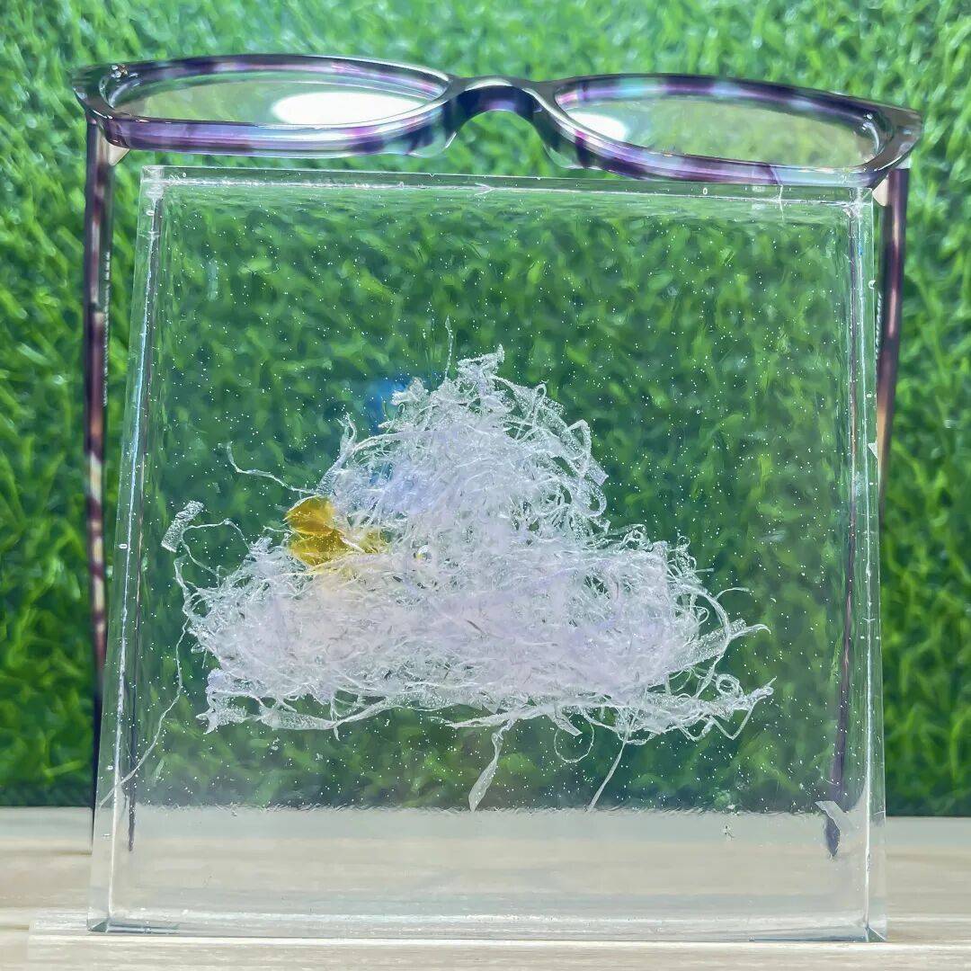 【寻光之旅 · 香港启幕】金余塑胶参加2025香港眼镜展