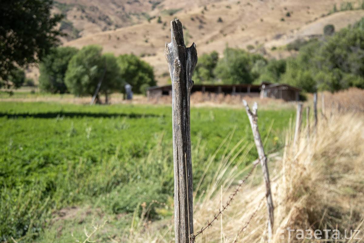 2026乌兹别克斯坦塔什干国际农业展览会将推温室产业