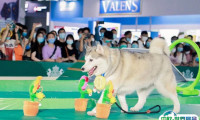 2025亚宠北京宠物展-京宠展参展攻略（时间地点+门票怎么购买？）