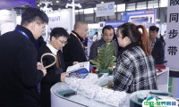 上海包装世界展览会2025门票如何购买 多少钱一张