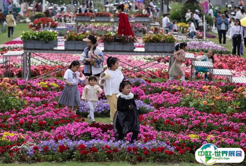 2024海宁世界花园大会展品有哪些？