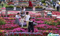 2024海宁世界花园大会展品有哪些？