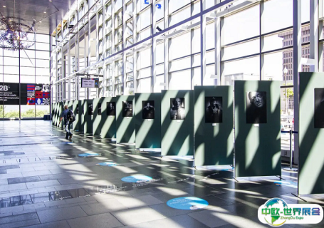 加拿大魁北克会议中心会展中心图片