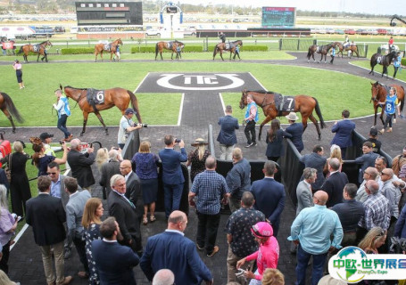 澳大利亚坎布拉格兰奇赛马场会展中心图片