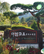 韩国天安三格里公园