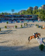 北京天星调良国际马术俱乐部