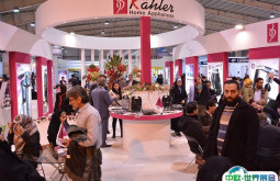 2024伊朗家用电器与家庭用品展展位费与展位图