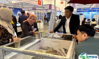 韩国釜山水产及渔业展览会2024展位图与展位申请