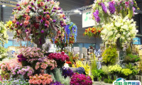 波兰波兹南花卉园艺展览会2025最新展商名录