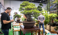 2025意大利帕多瓦园林园艺花卉展览会展位费与展位预订