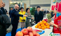 意大利里米尼果蔬展览会2025最新展商名录