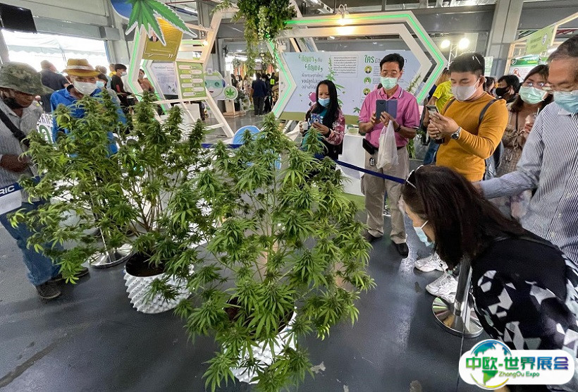 2024泰国曼谷大麻展-亚洲国际大麻论坛AIHE门票购买途径 购票入口