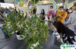 2024泰国曼谷大麻展-亚洲国际大麻论坛AIHE门票购买途径 购票入口