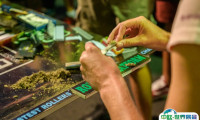 2025南非约翰内斯堡大麻展览会观众登记及登记地址