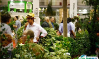 2024意大利帕多瓦园林园艺花卉展览会展位费与展位预订