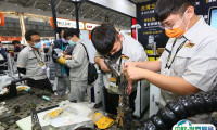 2025台湾工具机床展览会参展攻略（时间地点+门票哪里买？）