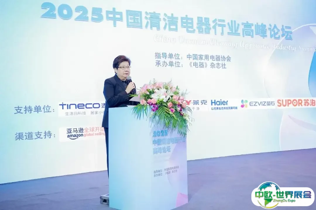 中国家用电器协会执行理事长姜风