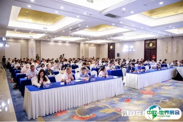 携手穿越周期，乳业在线“2025乳品北京市场论坛”顺利召开