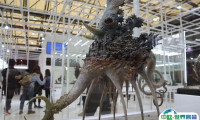 WF夏日展：Wonder Festival上海潮流手办展2025门票进馆证价格表、价格查询