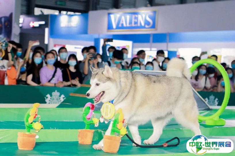 全球高端宠物大聚会：第27届亚宠展、上海宠物展将于2025年8月盛大启动！23万平米大展！门票申请
