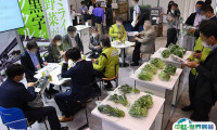2025年东京畜牧展门票多少钱，怎么购买？