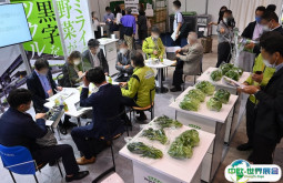 东京农机展2025门票在哪买