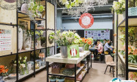 2026德国园艺展展品范围