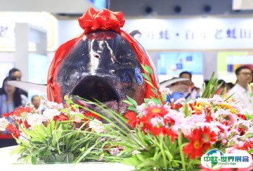 2025深圳渔博会展位图与展位申请