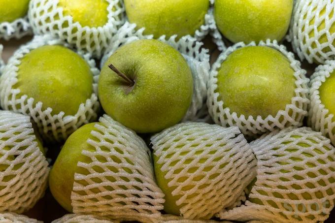 乌兹别克斯坦塔什干国际食品展览会UzFood 2026即将举办