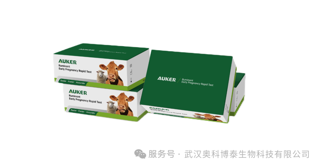 武汉奥科博泰生物科技ADLM 2025 圆满落幕|借力国际平台，中国制造走向全世界