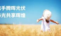 展会直击|腾晖光伏亮相2025年巴基斯坦国际太阳能展，高效组件助推能源转型