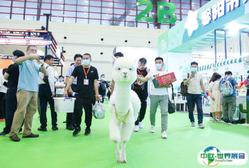 2025年济南宠物展门票哪里买，购买途径？