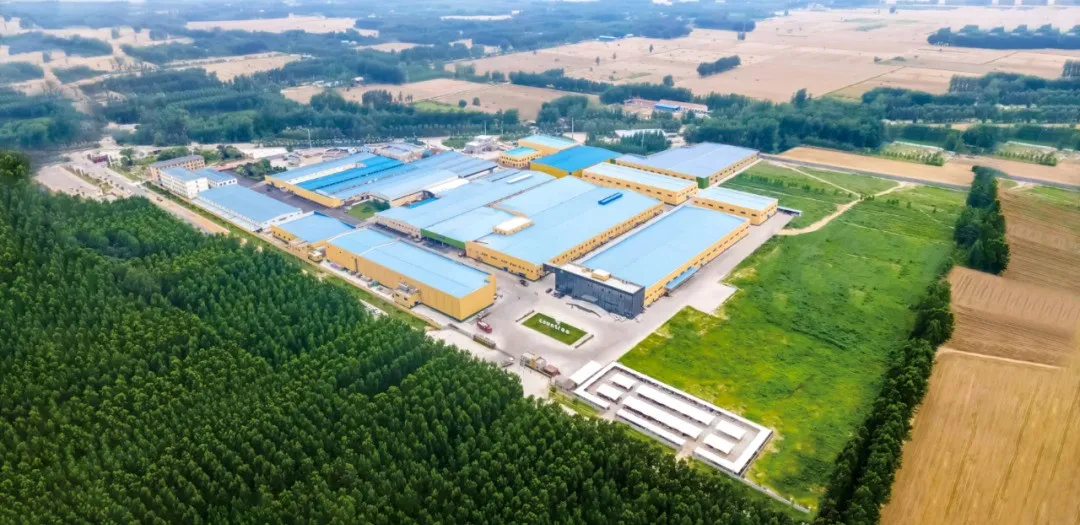 步履不停｜开创食品耀动亚洲世界食品博览会THAIFEX 2025
