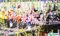 2026北京花卉园艺展时间和举办地点