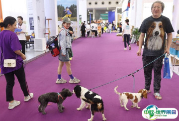 深圳宠物用品展2025参展攻略（时间地点+门票多少钱？）