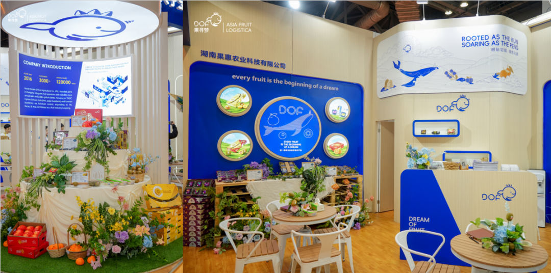 2025 香港亚洲国际果蔬展落幕，初心未改！果寻梦这场果蔬盛宴，藏着太多感动与期待