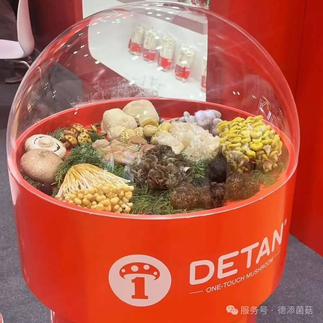 德添菌菇全球巡展第二站：2025年中国香港国际果蔬展，我们带着新品来啦！