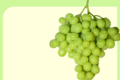 9月香港见！BLOOM FRESH™诚邀您相约 2025 亚洲国际果蔬展览会