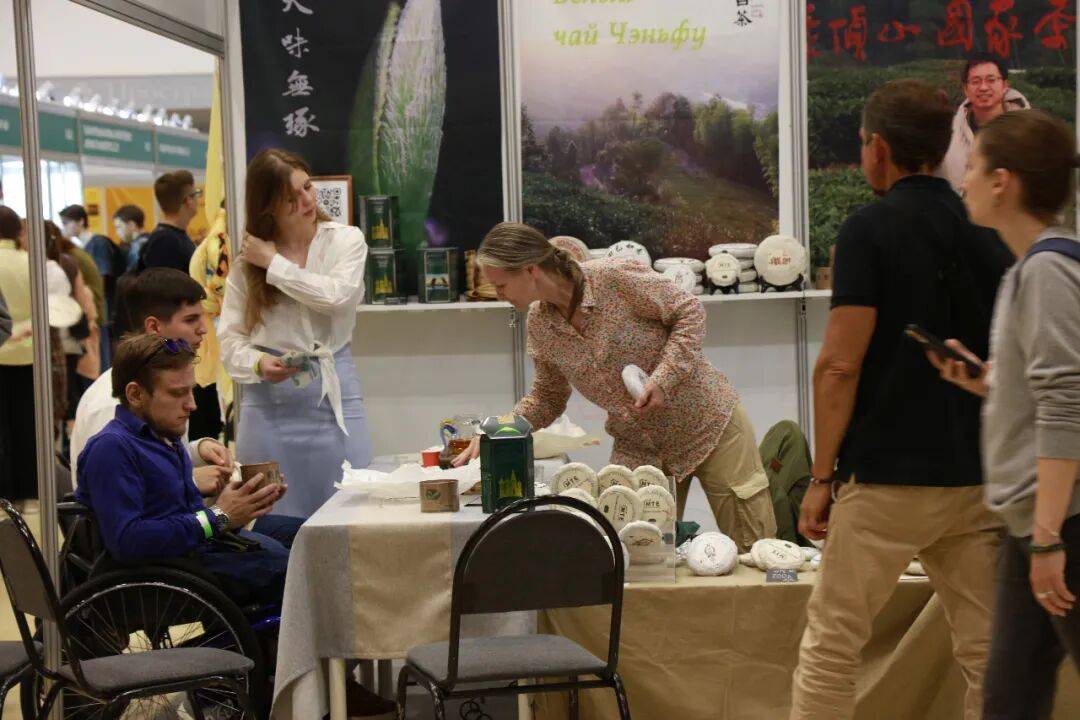 陈府白茶2025俄罗斯巡展：莫斯科·圣彼得堡