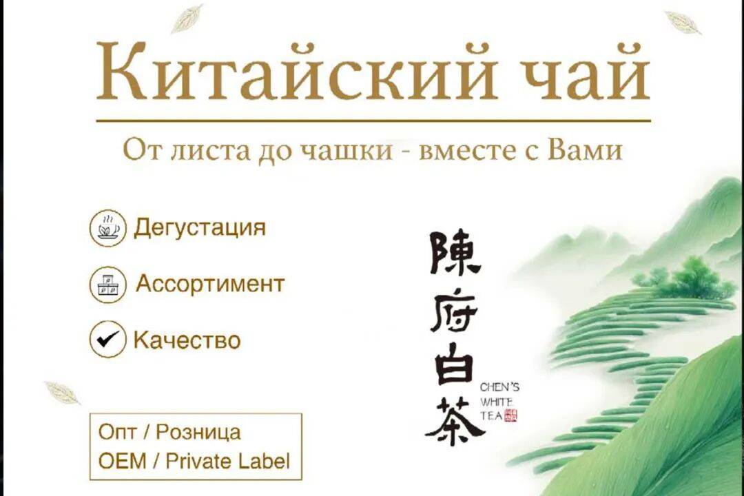陈府白茶2025俄罗斯巡展：莫斯科·圣彼得堡