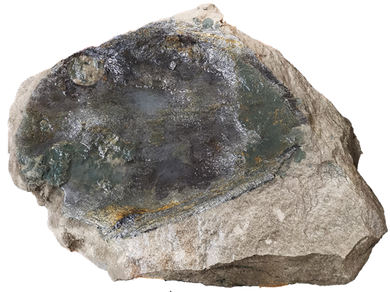 慕尼黑国际矿产展2025展出三叠纪惊人发现