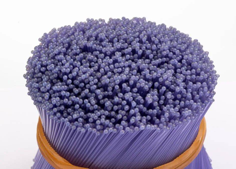 展会预告 | 大兴尼龙应邀参加2025年COSMOPROF ASIA亚太区美容展