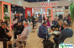 德国糖果展2026门票在哪买