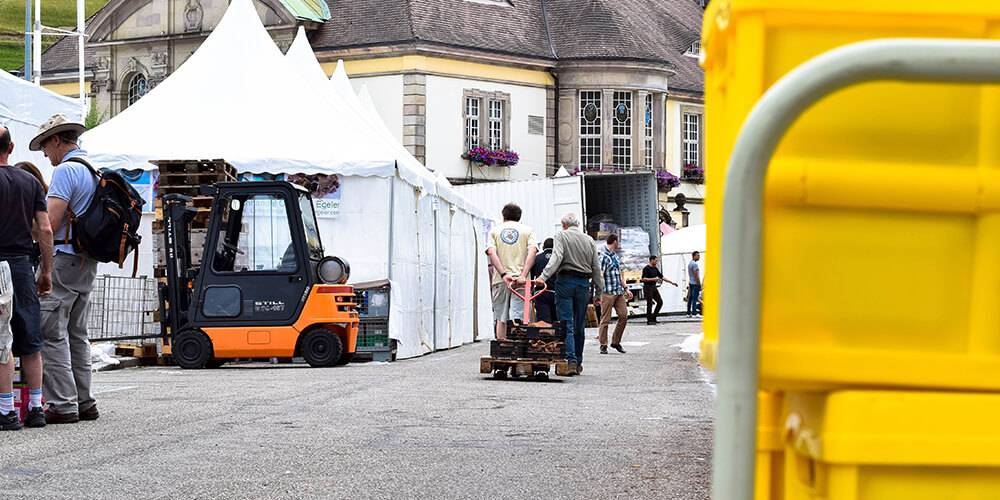 欧洲最大的矿物与宝石展：2026年圣玛丽-欧米讷采矿展指南