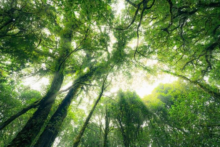 2026年加拿大埃德蒙顿CCUS大会