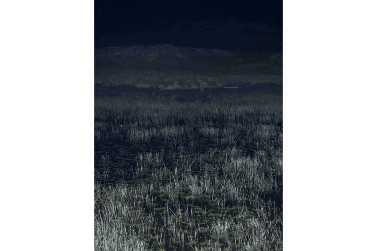 中国香港国际艺术博览会：香港艺术家拓展创作边界